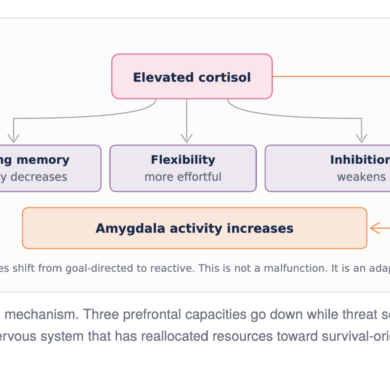 How Trauma and Stress Affect Executive Functioning
